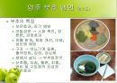 전국 향토 음식  3페이지