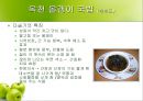 전국 향토 음식  12페이지
