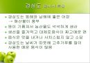 전국 향토 음식  16페이지