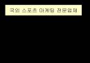 스포츠 마케팅  18페이지