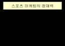 스포츠 마케팅  27페이지