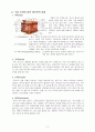 OR 충수돌기염.hwp 2페이지