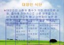 체질에 따른 음식보감  10페이지