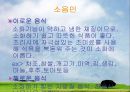 체질에 따른 음식보감  24페이지