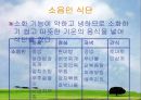 체질에 따른 음식보감  25페이지