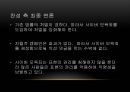 명예훼손과 사이버 모욕을 주제로 한 토론 및 발표자료 37페이지