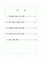 [전력부족문제] 전력난 문제의 심각성과 대응방안 보고서 2페이지
