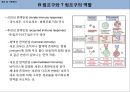 마우스 비장 면역세포 분리 및 염색 7페이지