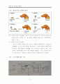 엄마만 찾는 아이 행동수정 사례연구(아동관찰 및 행동연구) 8페이지