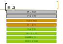 해외체류 경험이 여가에 미치는 영향 2페이지