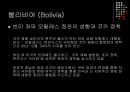 볼리비아와 콜롬비아의 코카 정책 비교  17페이지