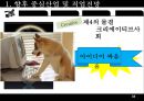  한국산업구조변화(산업조직론)  38페이지