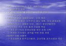 ‘한-칠레 FTA’ 칠레에 대한전반적 고찰 6페이지
