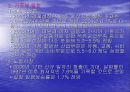 ‘한-칠레 FTA’ 칠레에 대한전반적 고찰 12페이지