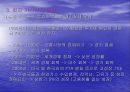 ‘한-칠레 FTA’ 칠레에 대한전반적 고찰 14페이지