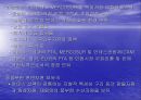 ‘한-칠레 FTA’ 칠레에 대한전반적 고찰 26페이지