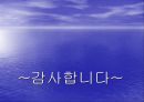 ‘한-칠레 FTA’ 칠레에 대한전반적 고찰 45페이지