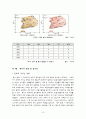 황사 (黃砂) 10페이지
