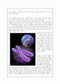 23장에 담긴 인간의 자서전 게놈 2페이지