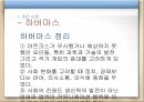 비판 이론 포스트 모더니즘 다문화교육.ppt 16페이지