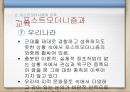 비판 이론 포스트 모더니즘 다문화교육.ppt 30페이지