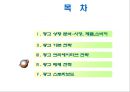 도브 광고 PPT 23페이지