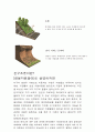 산사태 모식도, 판구조론, 대륙이동설,해양판이동설 2페이지