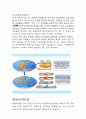 산사태 모식도, 판구조론, 대륙이동설,해양판이동설 3페이지
