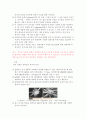 분석기기 - sem 외 5개 2페이지