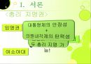 이원정부제 8페이지