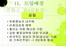 이원정부제 13페이지