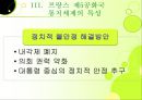 이원정부제 17페이지