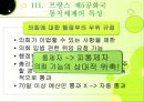 이원정부제 20페이지