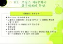 이원정부제 21페이지