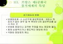 이원정부제 22페이지