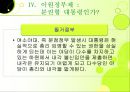 이원정부제 25페이지