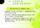이원정부제 26페이지