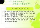 이원정부제 28페이지