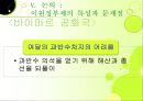 이원정부제 33페이지