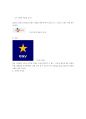 cgv 기업분석 18페이지