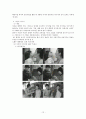 선전 기법과 TV 광고에의 적용 13페이지