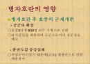 임진왜란과 병자호란의 영향 ppt자료 38페이지