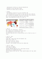 국제문화의 이해 타이핑 27페이지
