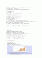 국제문화의 이해 타이핑 29페이지