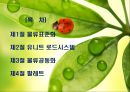 물류표준화와 물류공동화 PPT자료 2페이지