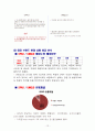 국내스파브랜드의 국외브랜드 대응전략 - 스파오(SPAO)와 유니클로(UNIQLO) 12페이지