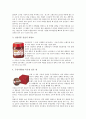 [고추장][고추장 맛][고추장 종류와 제조방법][찹쌀고추장][고추장시장][고추장 마케팅 사례]고추장의 맛, 고추장의 종류와 제조방법, 고추장과 찹쌀고추장, 고추장과 고추장시장, 고추장과 고추장 마케팅 사례 분석 14페이지