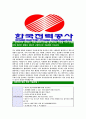 [한국전력공사-최신공채합격자기소개서]한국전력공사 자소서 - 지원분야 예상 면접 기출문제, 비전, 미션 및 사업영역, 인재상 5페이지