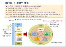 SCM의 실행기법과 e-SCM 20페이지
