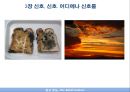 종교 본능 - 3장  신호, 신호. 어디에나 신호들 & 4장  이상한 불멸 _ 제시 베링 지음.PPT자료 21페이지